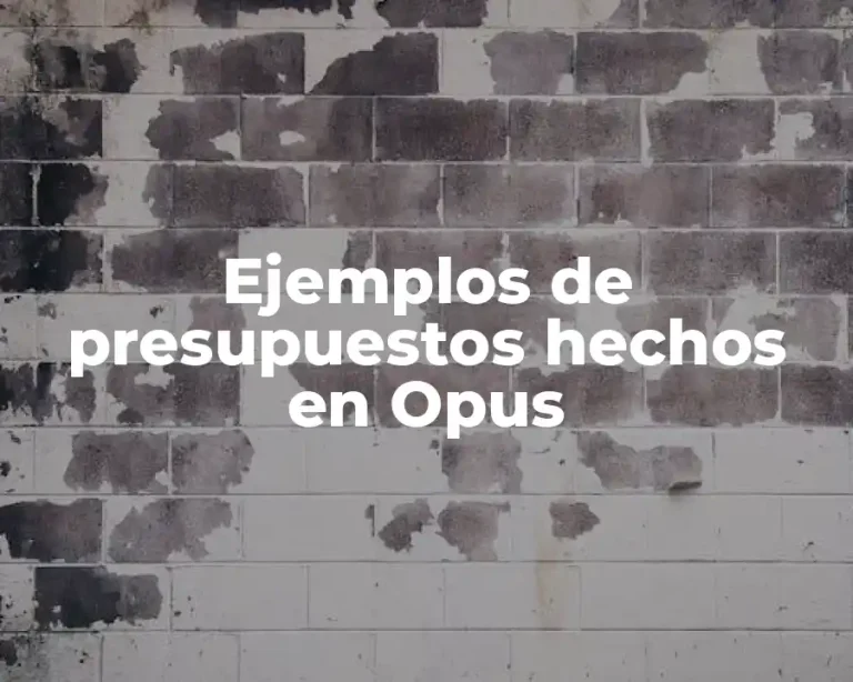 Ejemplos de presupuestos hechos en Opus