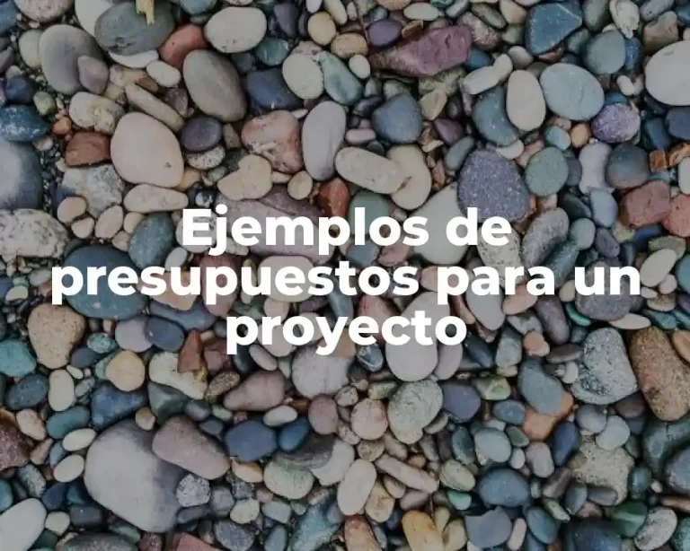Ejemplos de presupuestos para un proyecto