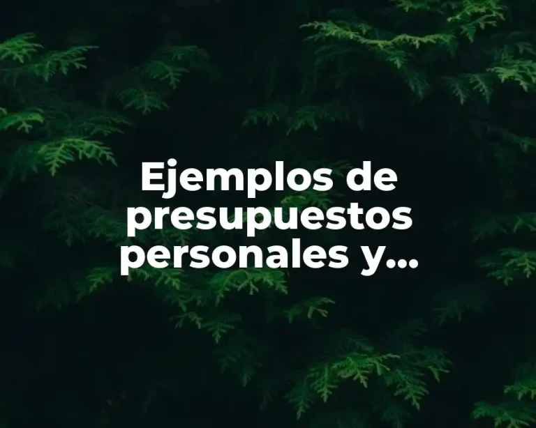 Ejemplos de presupuestos personales y Significado