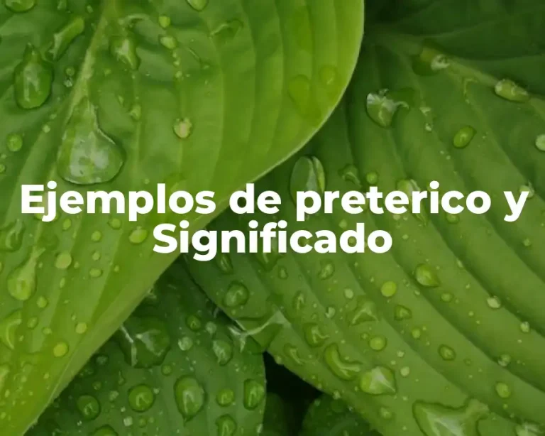 Ejemplos de preterico y Significado