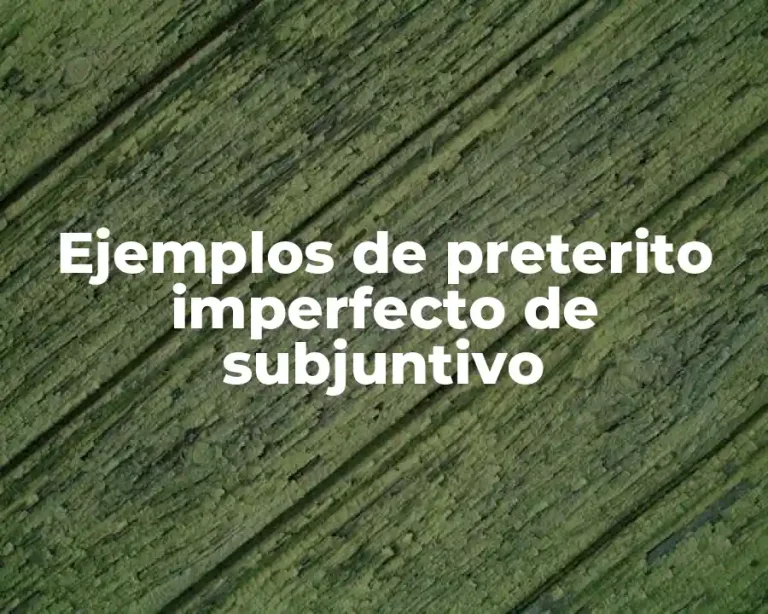 Ejemplos de preterito imperfecto de subjuntivo
