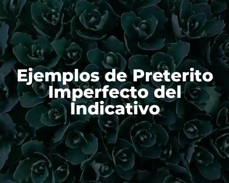 Ejemplos de Preterito Imperfecto del Indicativo
