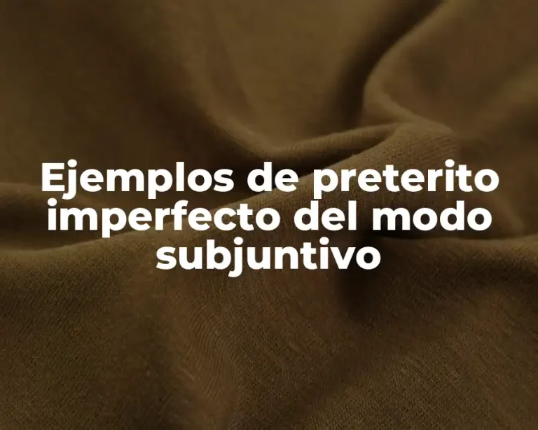 Ejemplos de preterito imperfecto del modo subjuntivo