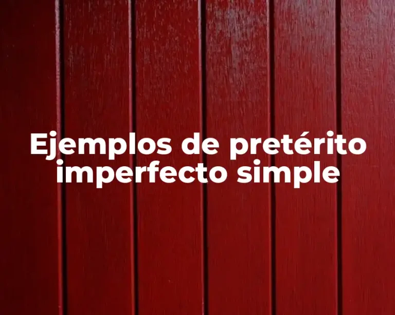Ejemplos de pretérito imperfecto simple
