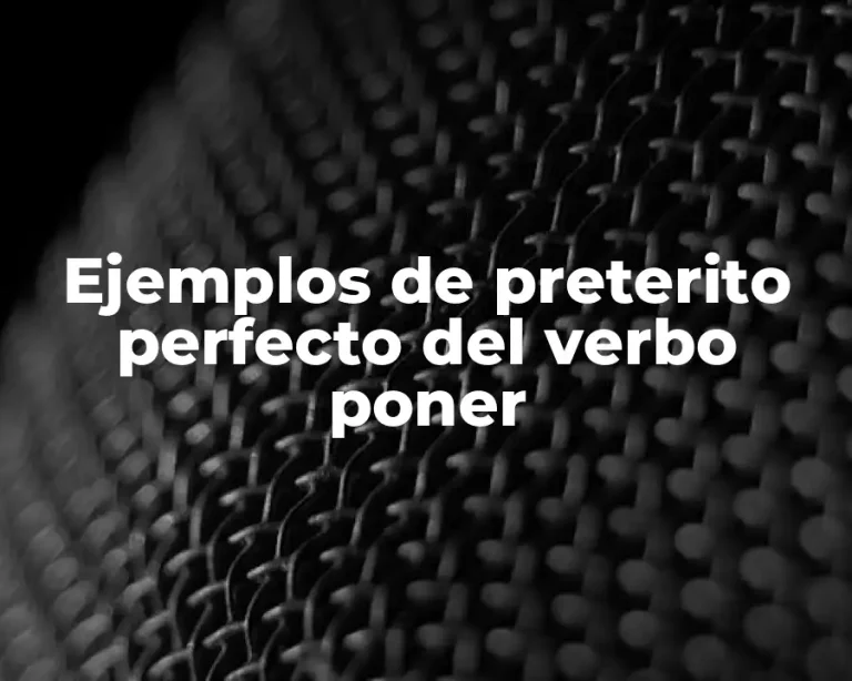 Ejemplos de preterito perfecto del verbo poner