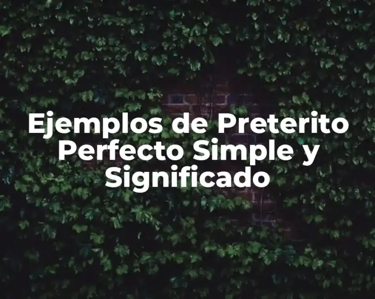 Ejemplos de Preterito Perfecto Simple y Significado