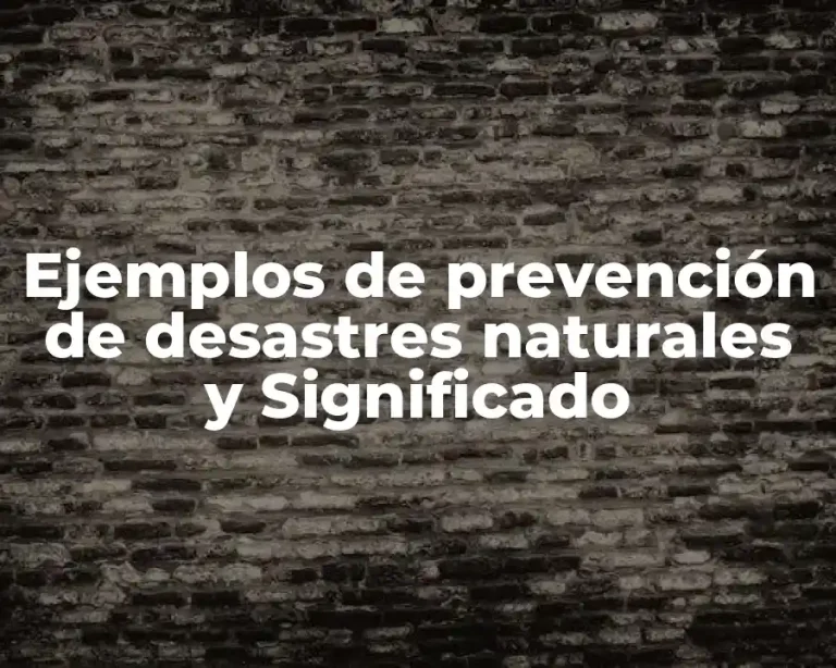 Ejemplos de prevención de desastres naturales y Significado