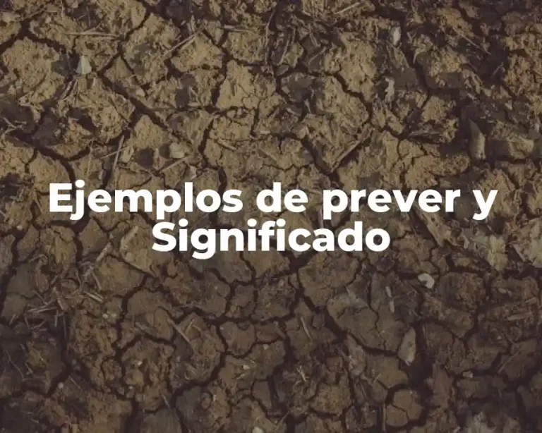 Ejemplos de prever y Significado