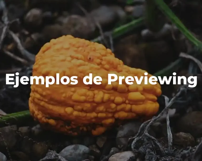 Ejemplos de Previewing