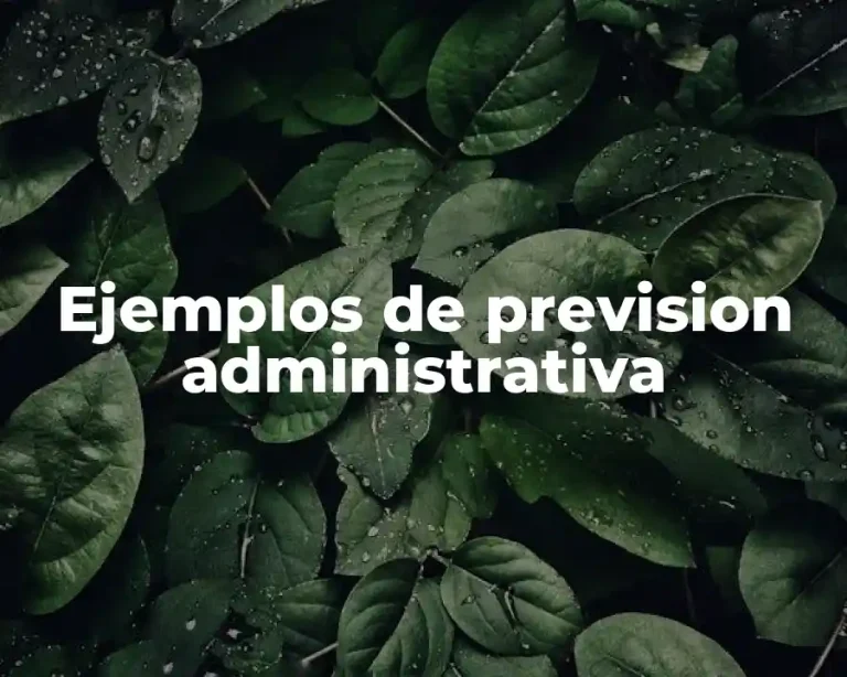 Ejemplos de prevision administrativa