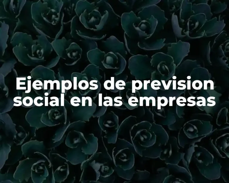 Ejemplos de prevision social en las empresas