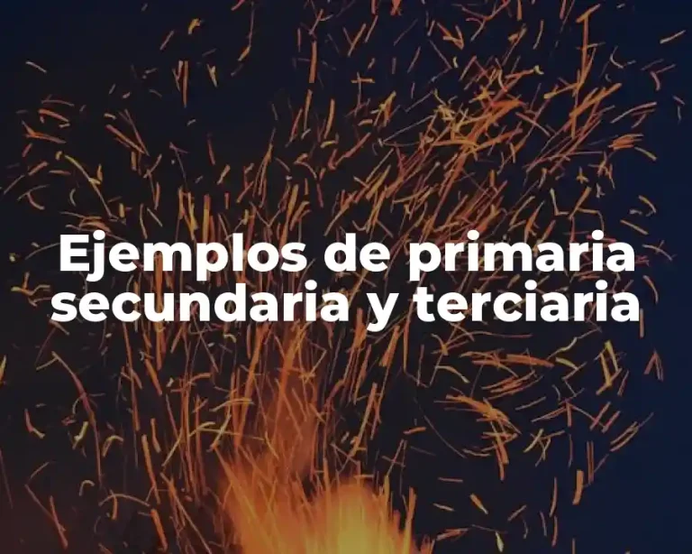 Ejemplos de primaria secundaria y terciaria