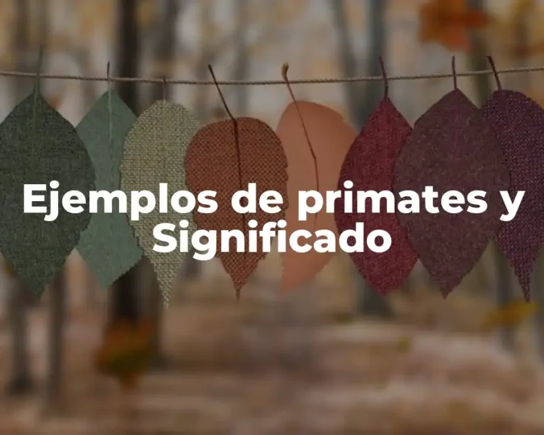 Ejemplos de primates y Significado