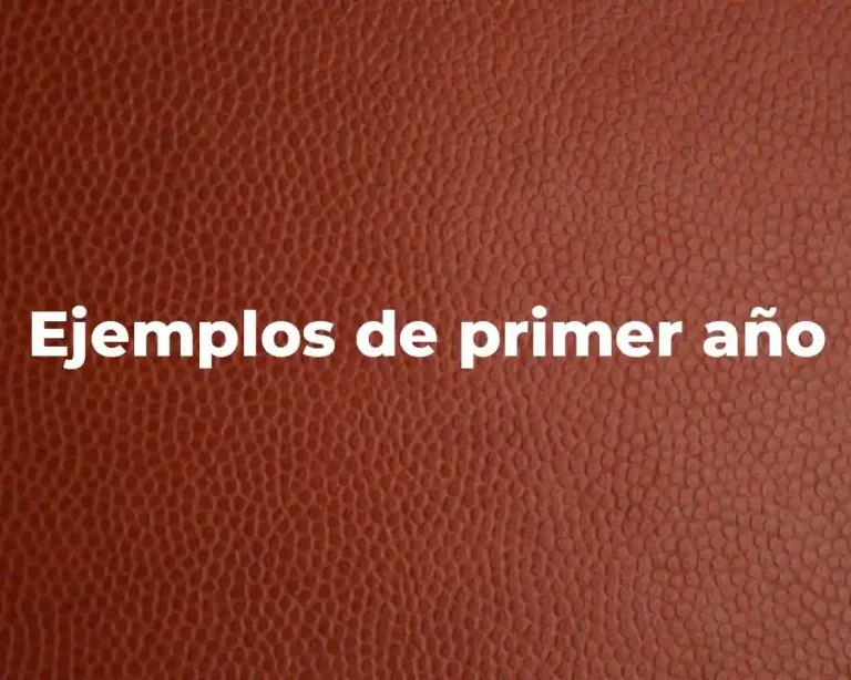 Ejemplos de primer año