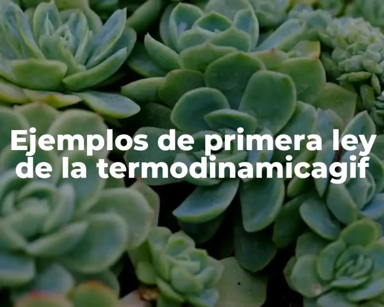 Ejemplos de primera ley de la termodinamicagif