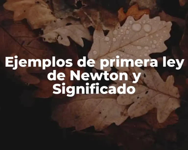 Ejemplos de primera ley de Newton y Significado