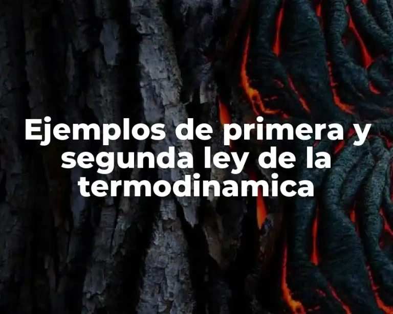 Ejemplos de primera y segunda ley de la termodinamica