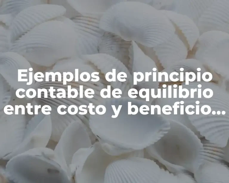 Ejemplos de principio contable de equilibrio entre costo y beneficio y Significado