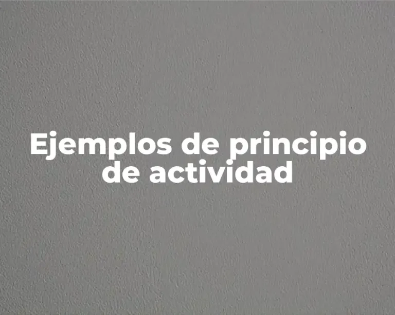 Ejemplos de principio de actividad