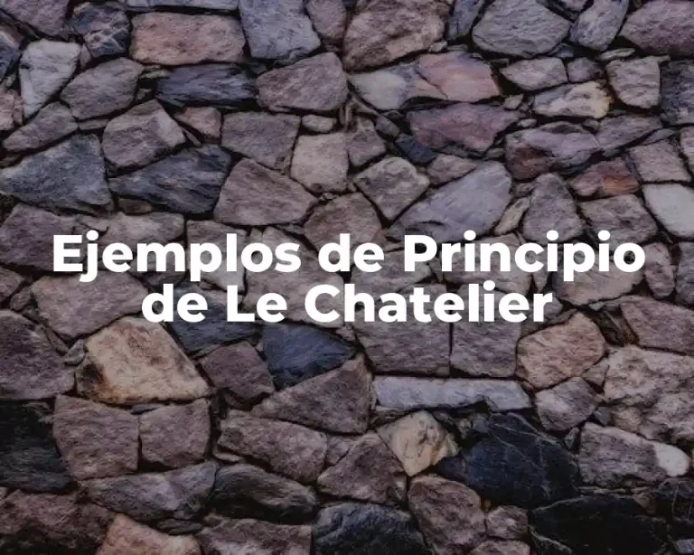 Ejemplos de Principio de Le Chatelier