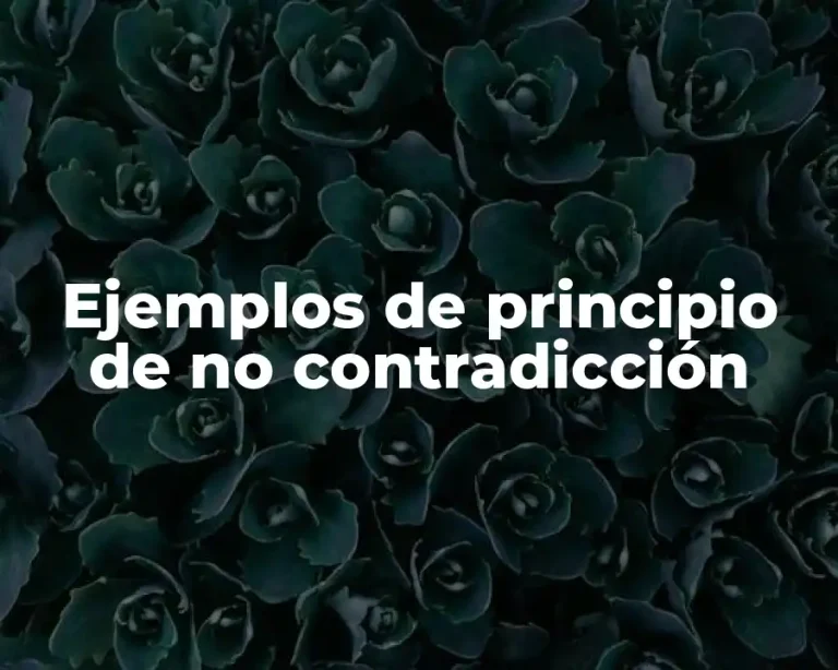 Ejemplos de principio de no contradicción