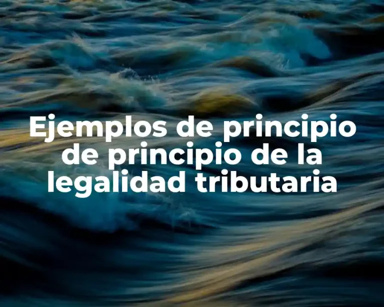 Ejemplos de principio de principio de la legalidad tributaria