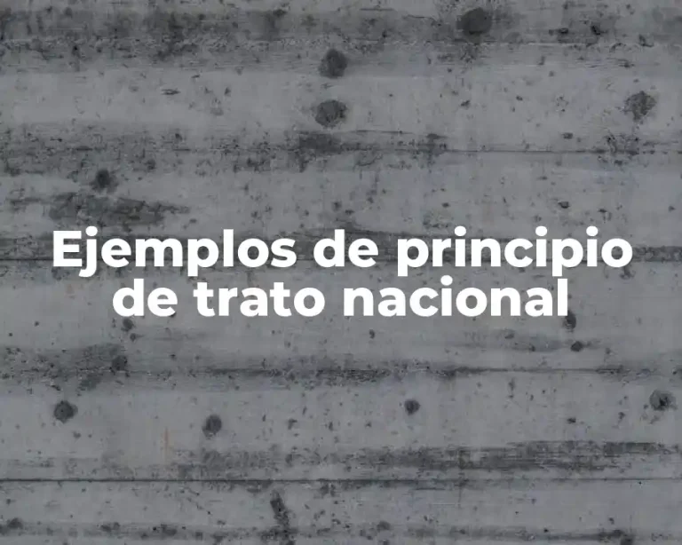 Ejemplos de principio de trato nacional