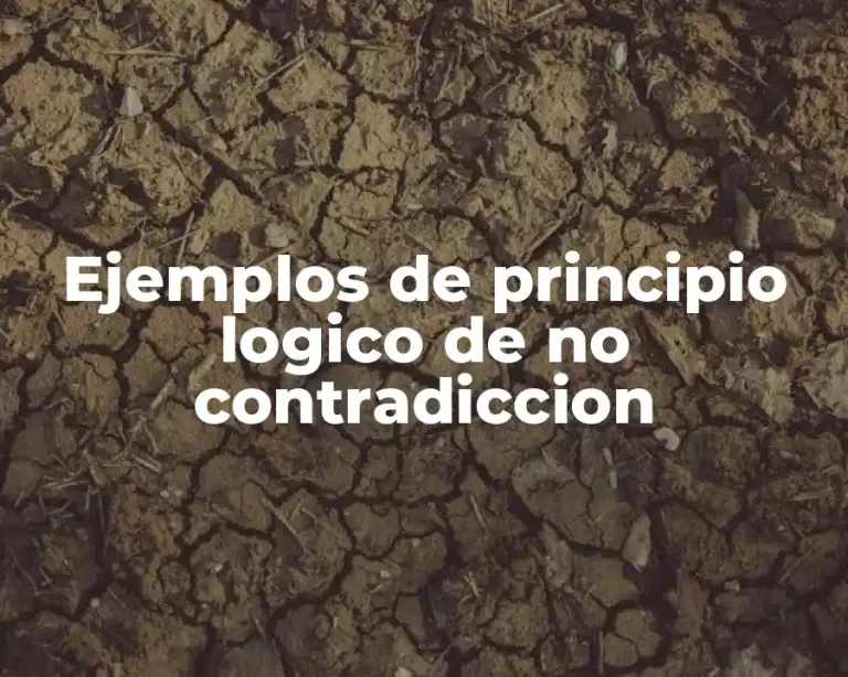 Ejemplos de principio logico de no contradiccion