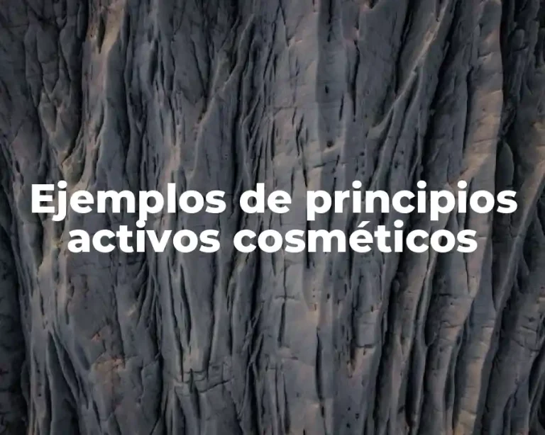 Ejemplos de principios activos cosméticos