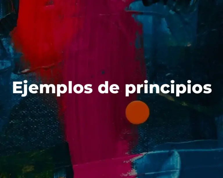 Ejemplos de principios