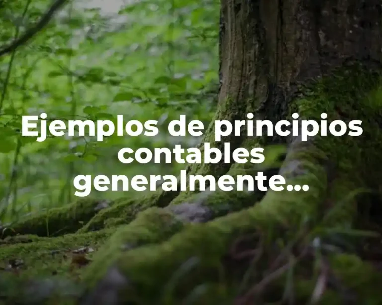Ejemplos de principios contables generalmente aceptados y Significado