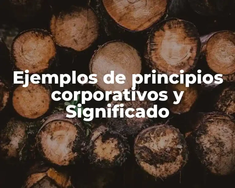 Ejemplos de principios corporativos y Significado