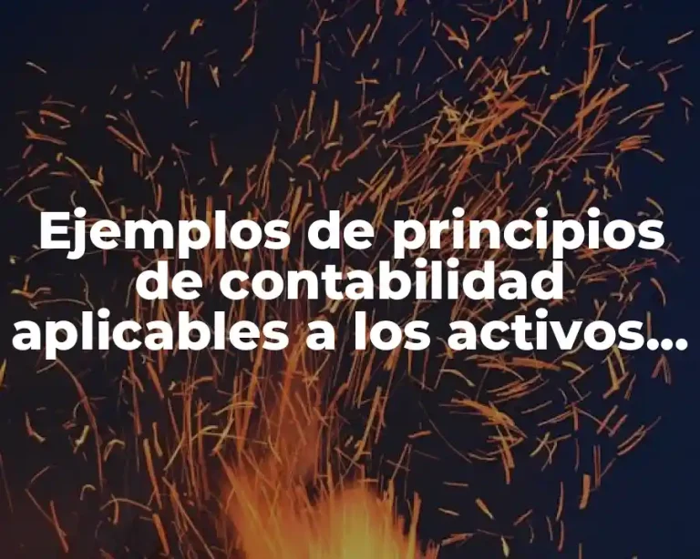 Ejemplos de principios de contabilidad aplicables a los activos fijos
