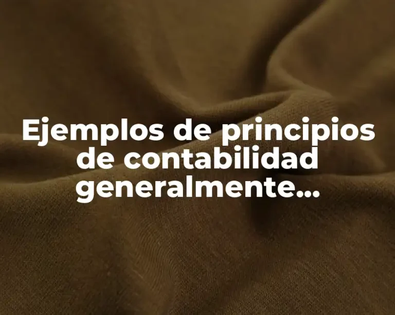 Ejemplos de principios de contabilidad generalmente aceptados