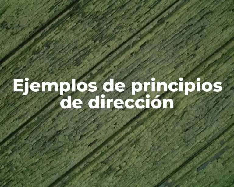 Ejemplos de principios de dirección