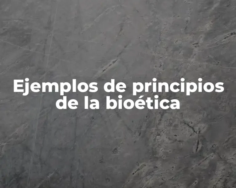 Ejemplos de principios de la bioética