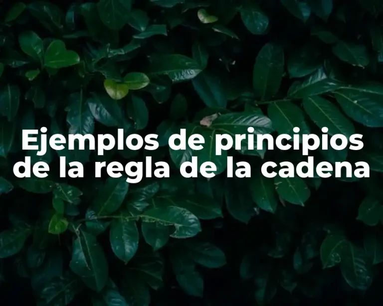Ejemplos de principios de la regla de la cadena