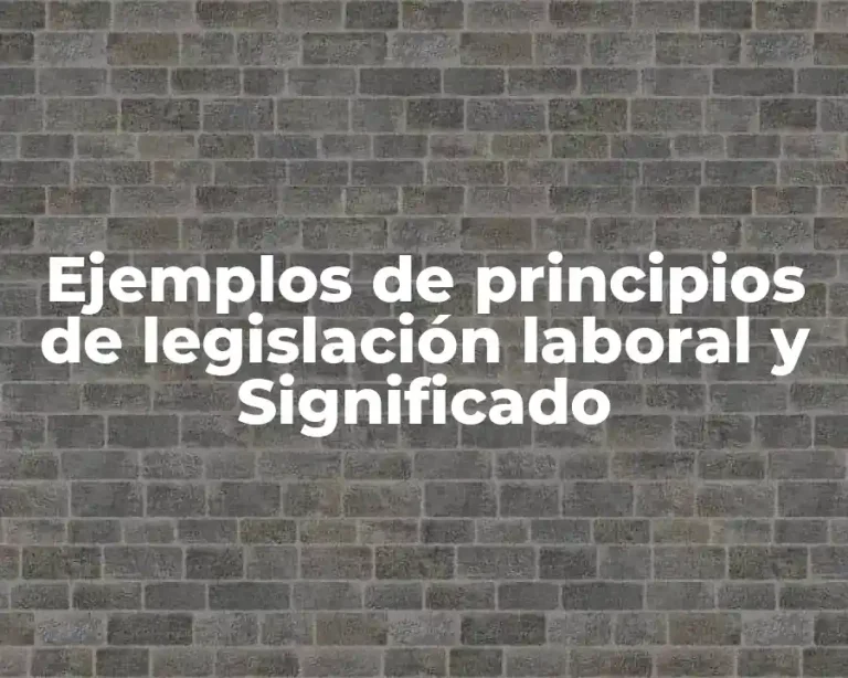 Ejemplos de principios de legislación laboral y Significado