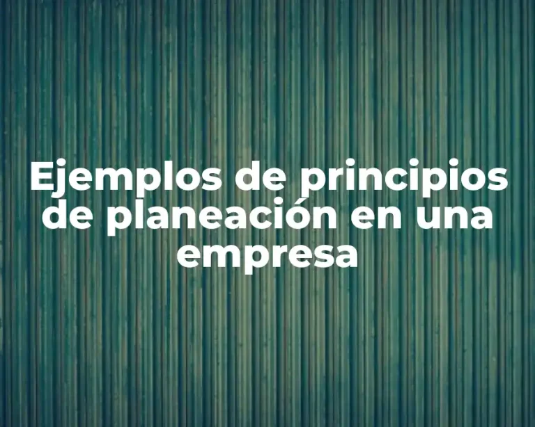 Ejemplos de principios de planeación en una empresa