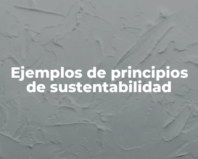 Ejemplos de principios de sustentabilidad