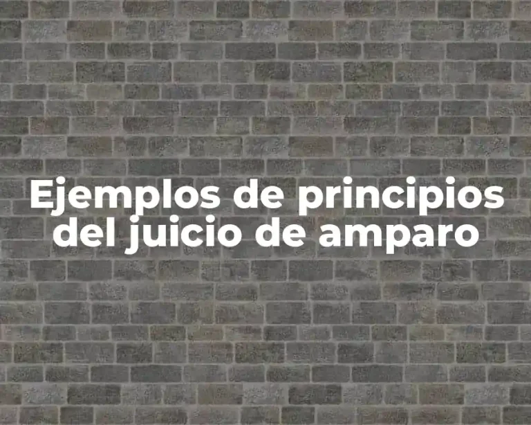 Ejemplos de principios del juicio de amparo
