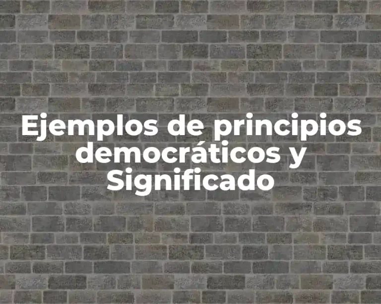 Ejemplos de principios democráticos y Significado