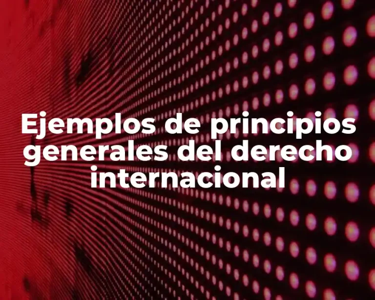 Ejemplos de principios generales del derecho internacional