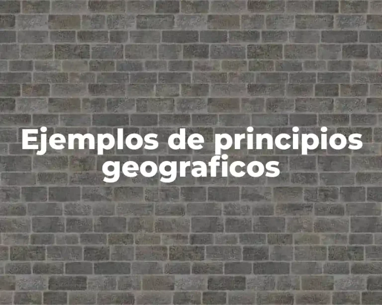Ejemplos de principios geograficos