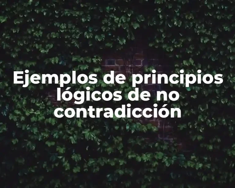 Ejemplos de principios lógicos de no contradicción