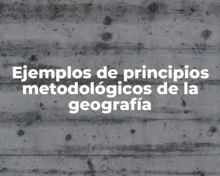 Ejemplos de principios metodológicos de la geografía