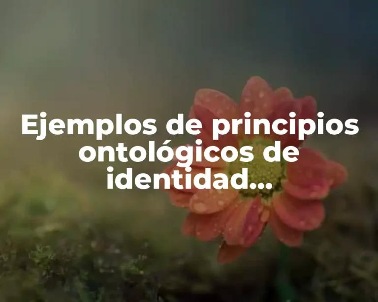 Ejemplos de principios ontológicos de identidad, contradicción y exclusión y Significado