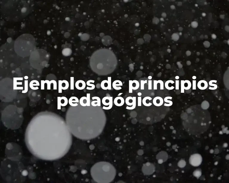Ejemplos de principios pedagógicos