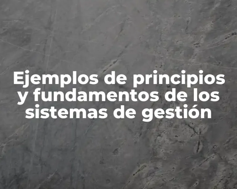 Ejemplos de principios y fundamentos de los sistemas de gestión