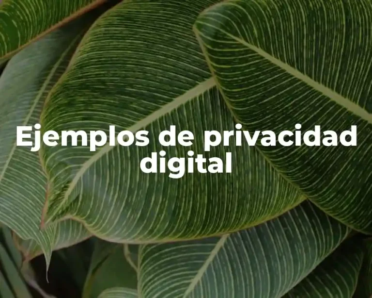 Ejemplos de privacidad digital